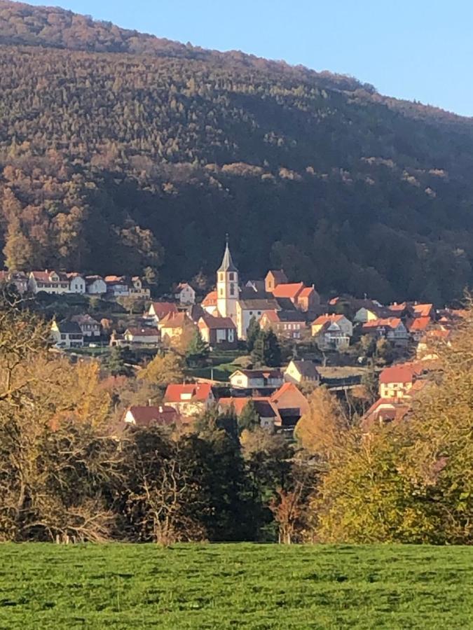 Gite L'Instant Durable Oberbronn ภายนอก รูปภาพ