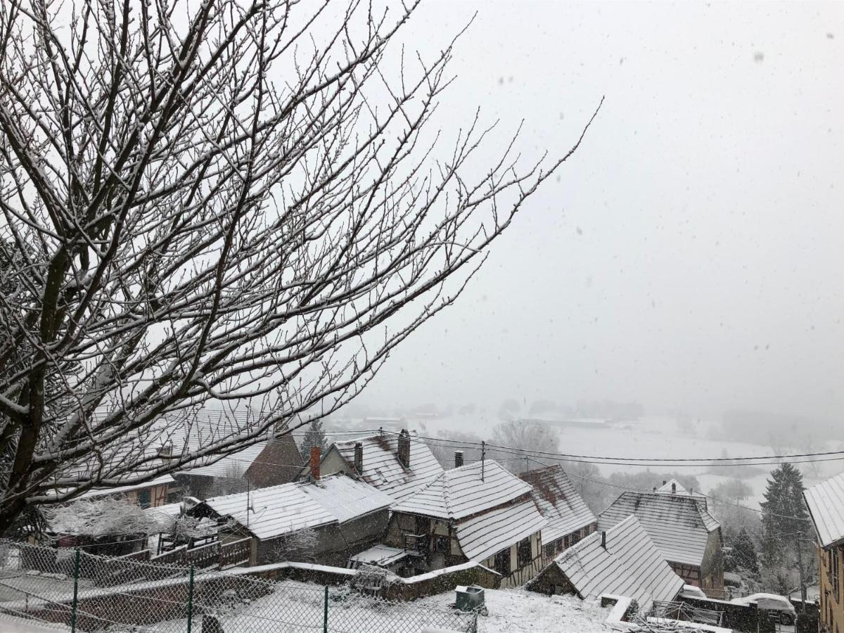 Gite L'Instant Durable Oberbronn ภายนอก รูปภาพ