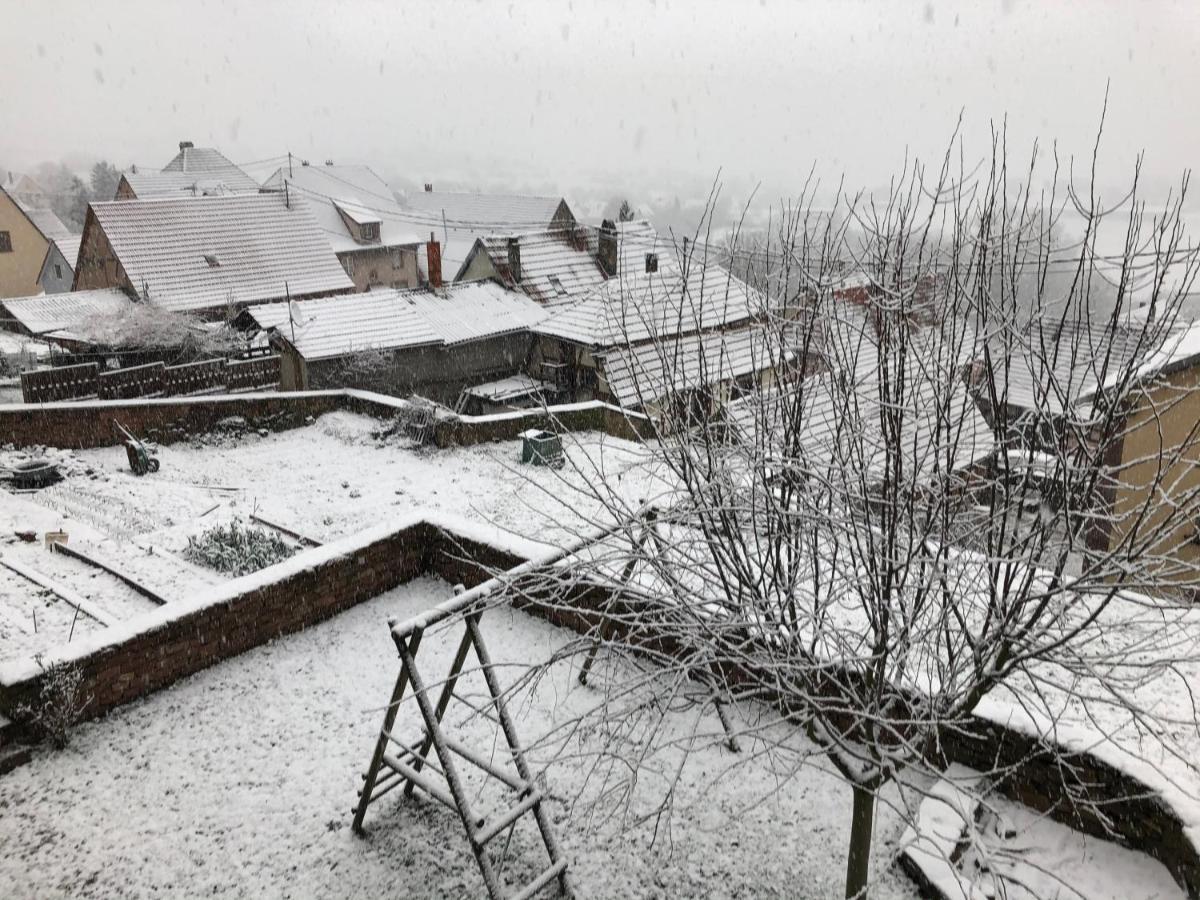 Gite L'Instant Durable Oberbronn ภายนอก รูปภาพ