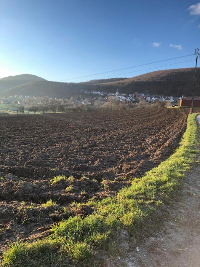 Gite L'Instant Durable Oberbronn ภายนอก รูปภาพ