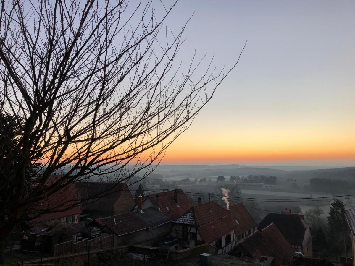 Gite L'Instant Durable Oberbronn ภายนอก รูปภาพ
