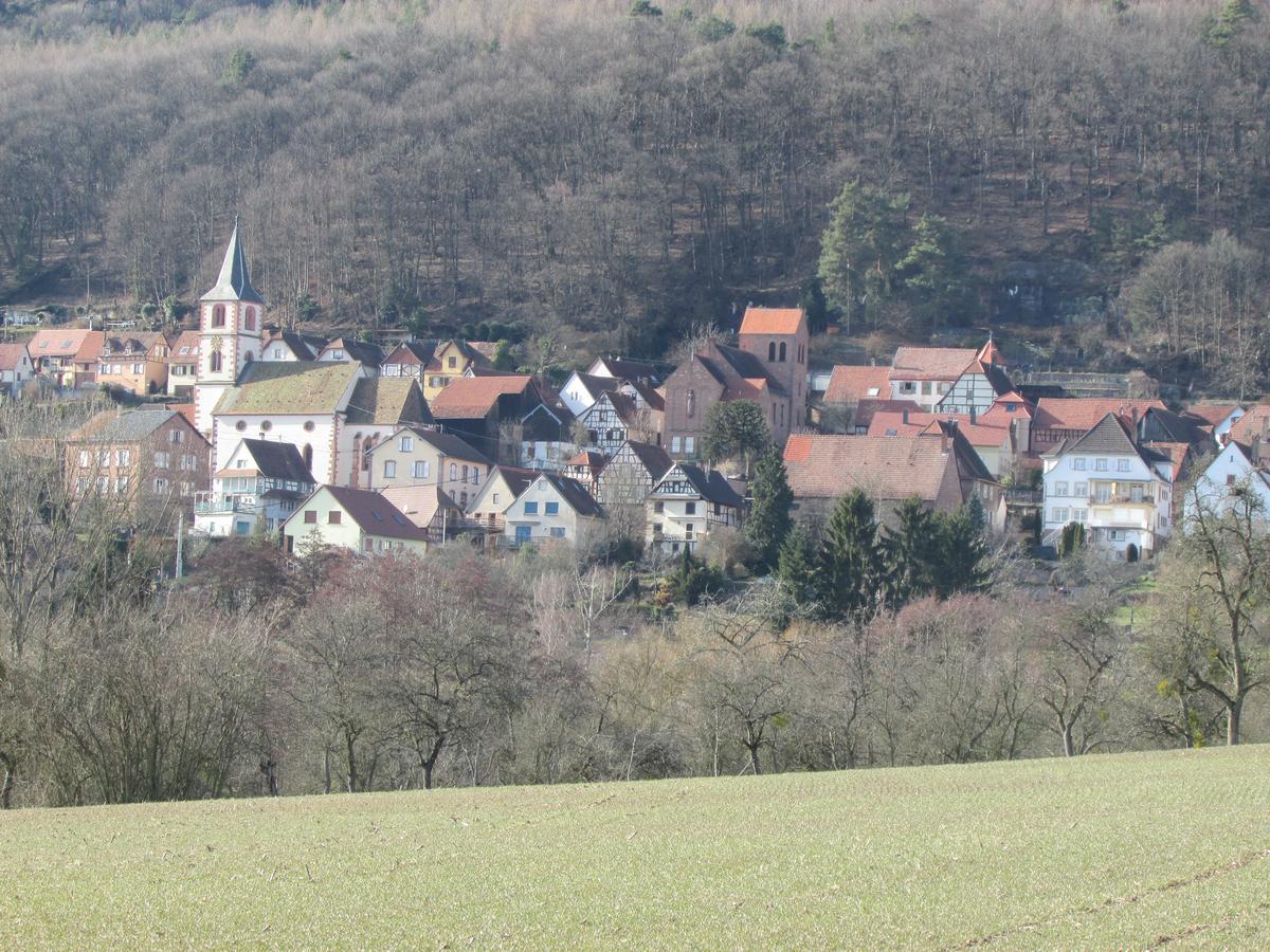 Gite L'Instant Durable Oberbronn ภายนอก รูปภาพ